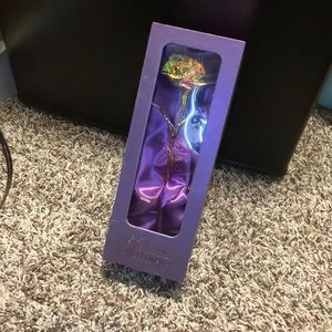 A beautiful rose deserves to have a beautiful home.